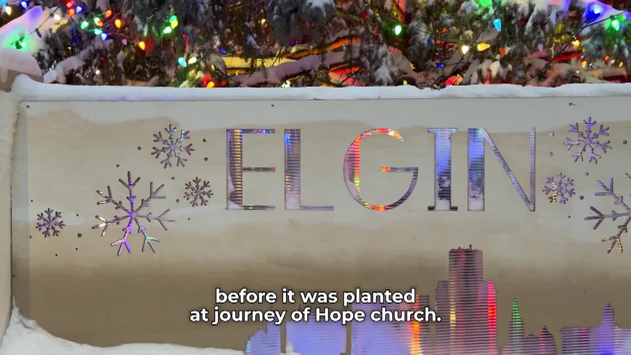 Local Insight & Dentro de Elgin - December